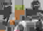 447764346_2158242184558731_2909741637243587937_n