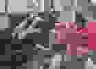 447900628_2158242144558735_1440720955348745014_n
