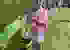 441162914_472280285360216_714191955929514404_n