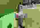443716984_472279988693579_1793570655822895289_n