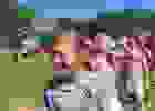 444166180_472299335358311_466771115359201257_n