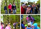 jesienna_wycieczka_do_lasu_2017_1_20170929_2036334305