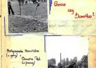 kroniki_1971_-_77_49_20131029_1665487338